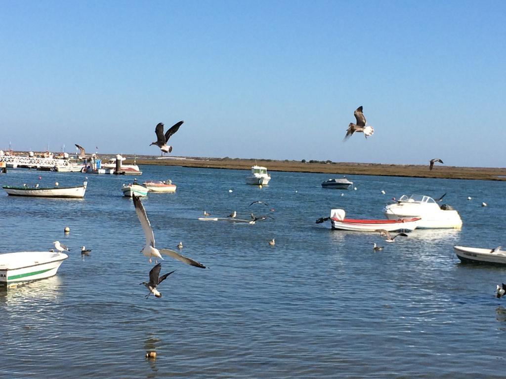 Dream holidays @ Santa Luzia  Bagian luar foto
